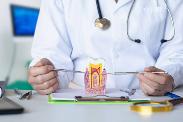 Best Emergency Wisdom Teeth Removal in Big Le, AK
